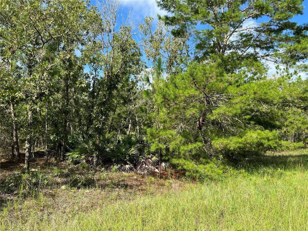 Photo of Tbd SW 93rd Street, Dunnellon, FL 34432 (MLS # OM715100)
