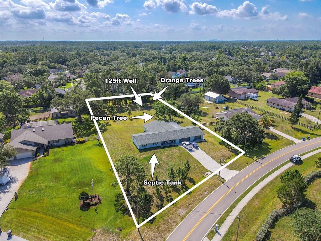 Photo of 12220 Twin Branch Acres Road, Tampa, FL 33626 (MLS # TB8389666)