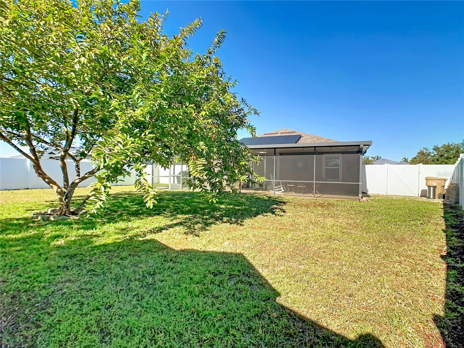 RAINTREE AT SPRINGLAKE VILLAGE PH 2 - Residential