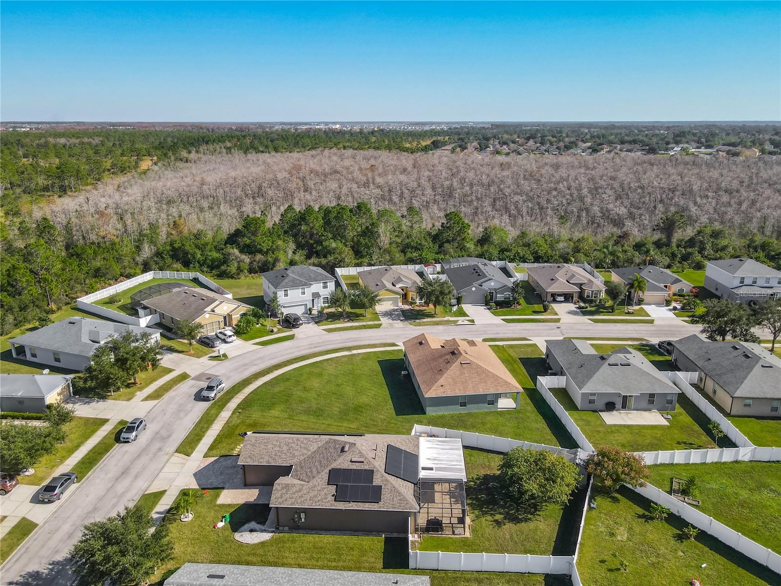 RAINTREE AT SPRINGLAKE VILLAGE PH 2 - Residential