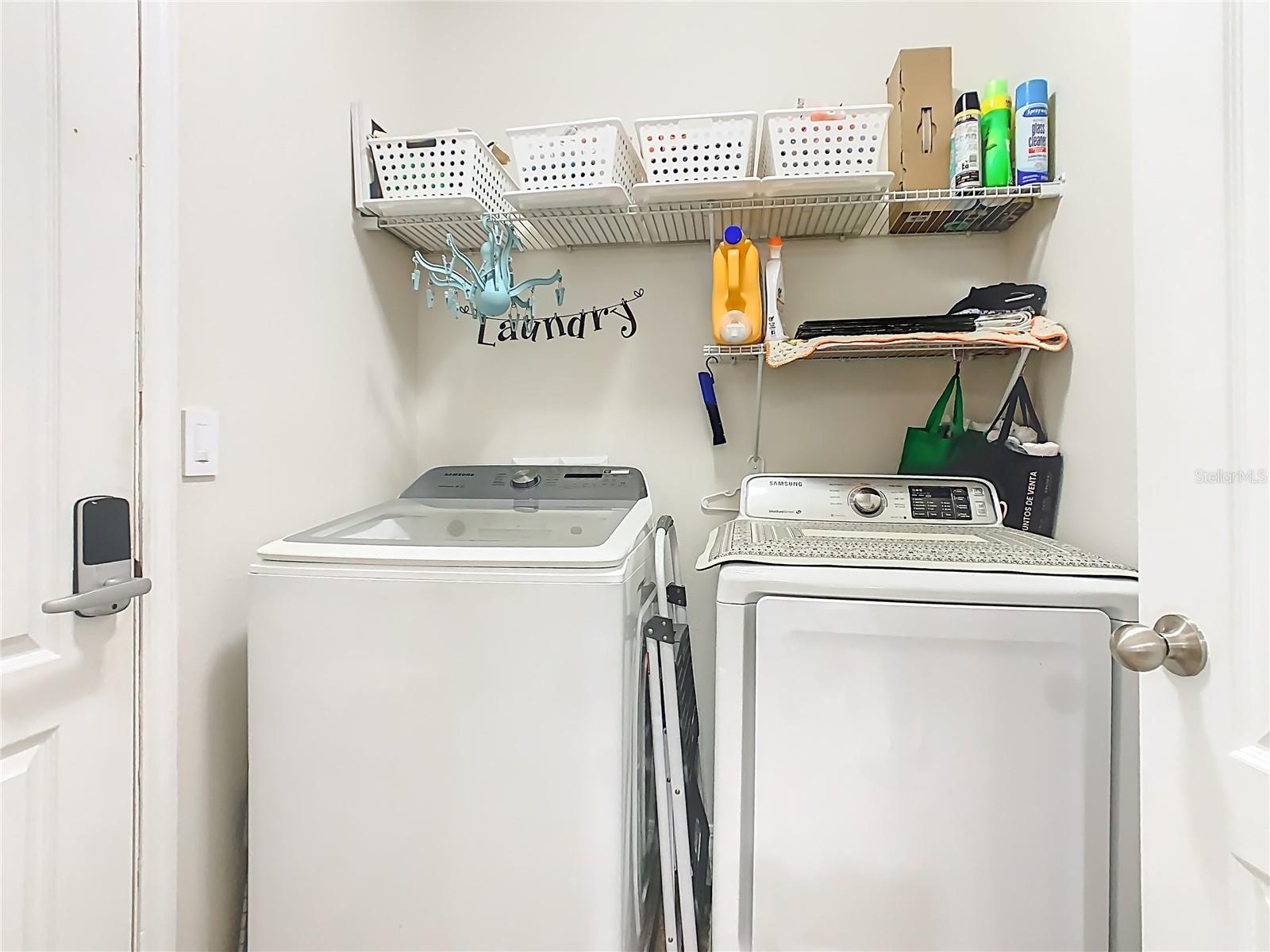 RAINTREE AT SPRINGLAKE VILLAGE PH 2 - Residential