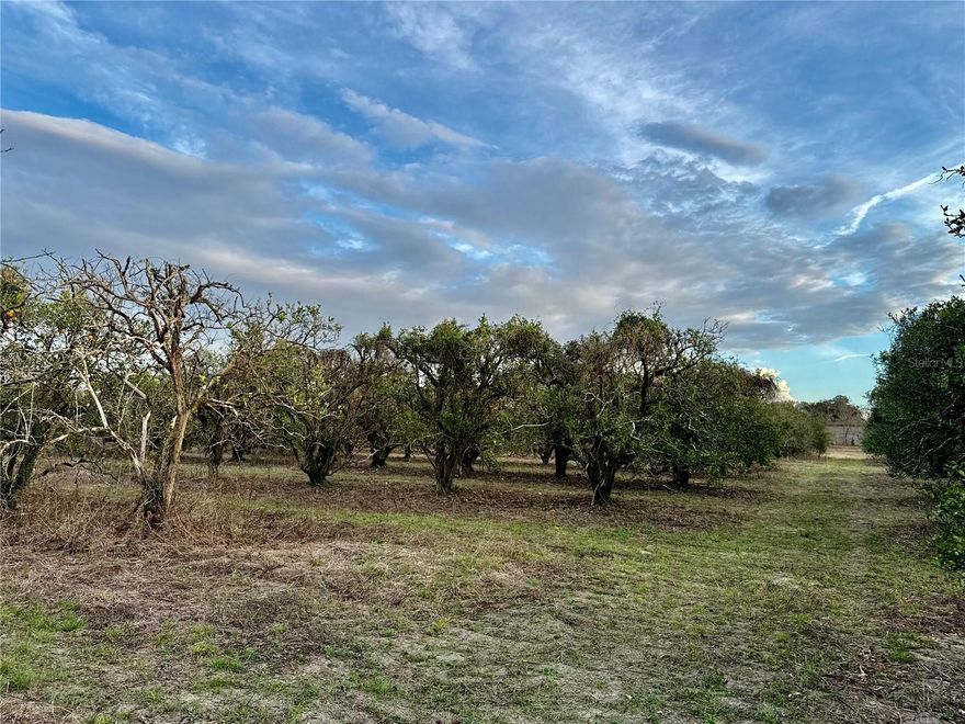 Build Your Dream Home or Invest in Prime Florida Land!
Discover the perfect opportunity to own a piece of Florida history with these newly subdivided, buildable lots. Beautiful hillside property with scenic views, located on land that was once a thriving orange grove. Situated in the heart of Weirsdale, this parcel offers a breathtaking view of Saddlebag Lake, a blend of rural charm and modern convenience. Less than 15 minutes from The Villages. There are 3 other lots next to this one that are also for sale.