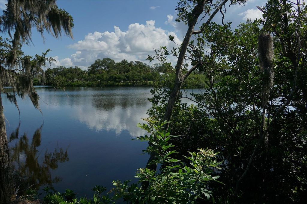 Photo of Tiberius Trail, New Port Richey, FL 34652 (MLS # TB8414497)