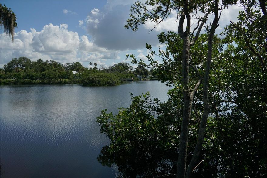 Beautiful waterfront lot overlooking Oyster Creek with access to open waters! Located only minutes away from Green Key Beach, and Robert K Pees Memorial Park, Downtown New Port Richey, restaurants and entertainment. Easy access to Tampa International Airport and the Suncoast/Veterans Expressway. NO HOA.
