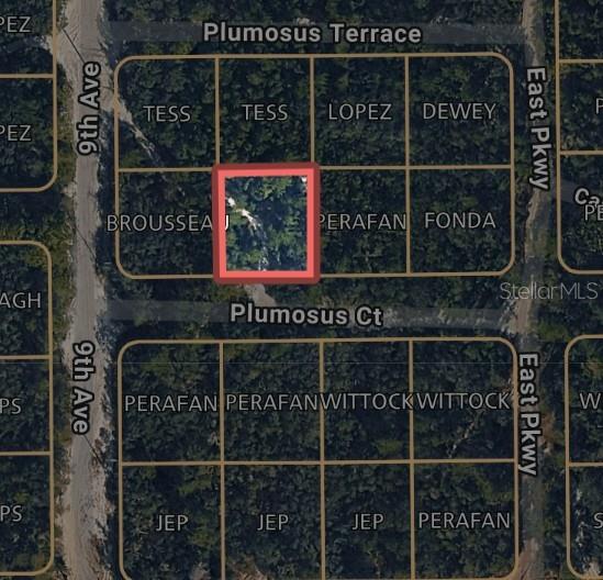 DAYTONA PARK ESTATES SEC H UNREC 253 - Land