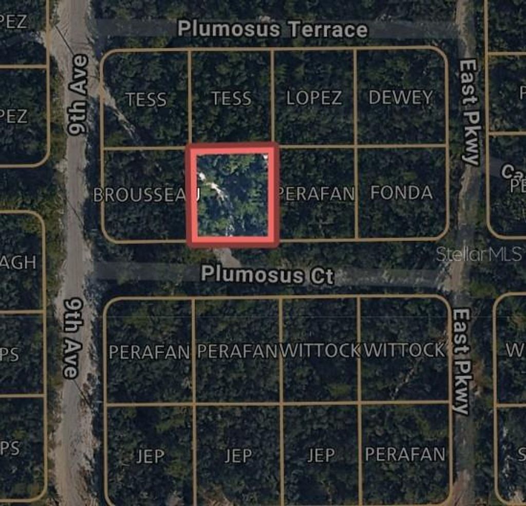 Photo of 212 Plumosus Court, Deland, FL 32724 (MLS # W7885954)