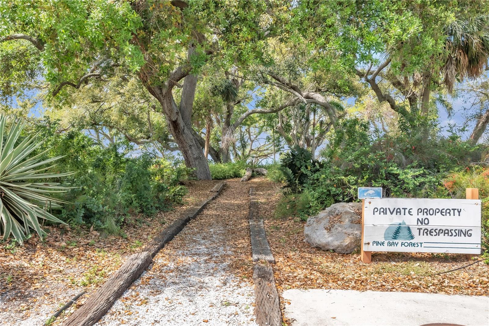 PINE BAY FOREST - Residential