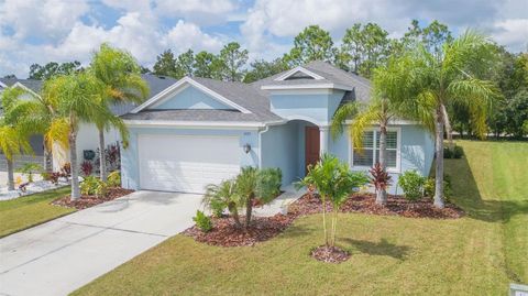 A home in PARRISH