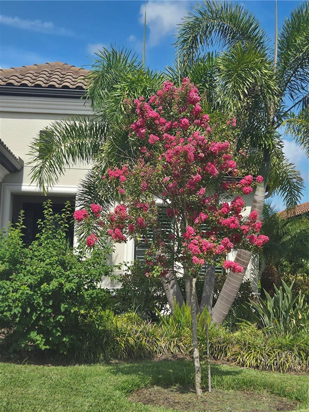 Photo of 2700 Westchester Drive N, Clearwater, FL 33761 (MLS # TB8439263)