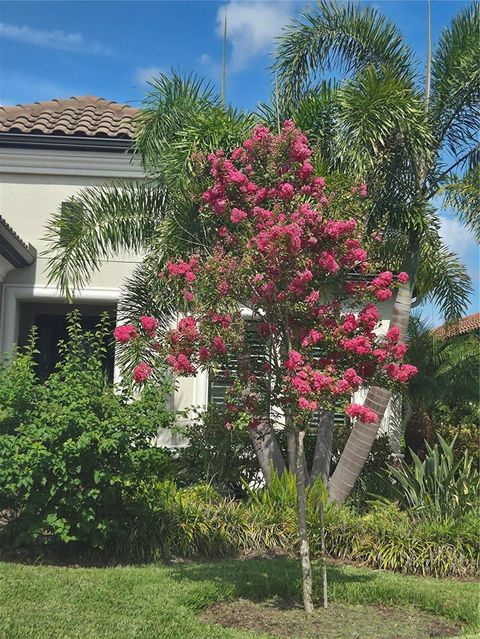 Photo of 2700 Westchester Drive N, Clearwater, FL 33761 (MLS # TB8439263)
