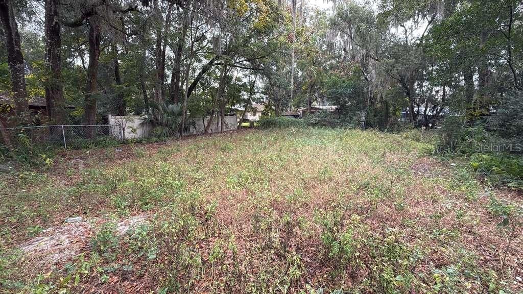 Photo of 239 S Pine Street, Deland, FL 32724 (MLS # O6372206)