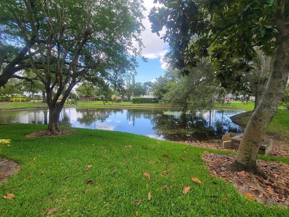 Photo of 10024 Strafford Oak Court #813, Tampa, FL 33624 (MLS # W7888158)