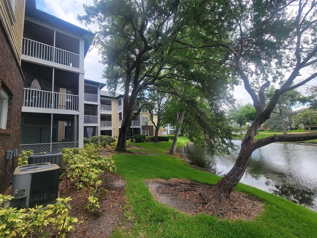 10024 STRAFFORD OAK COURT 813