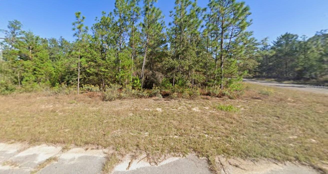 SUNNY HILLS UN 01 - Land