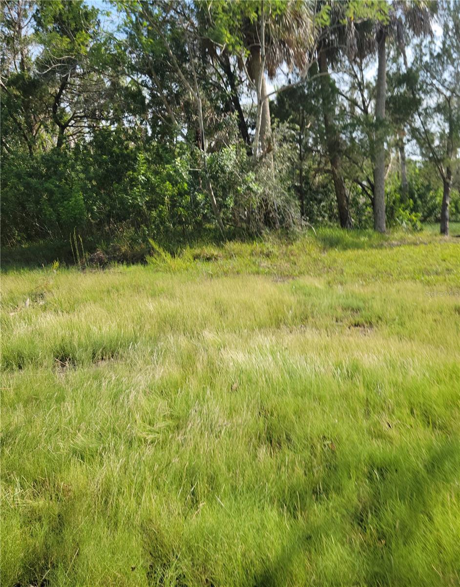 PEARSONS BLACK CREEK UNREC SUB - Land