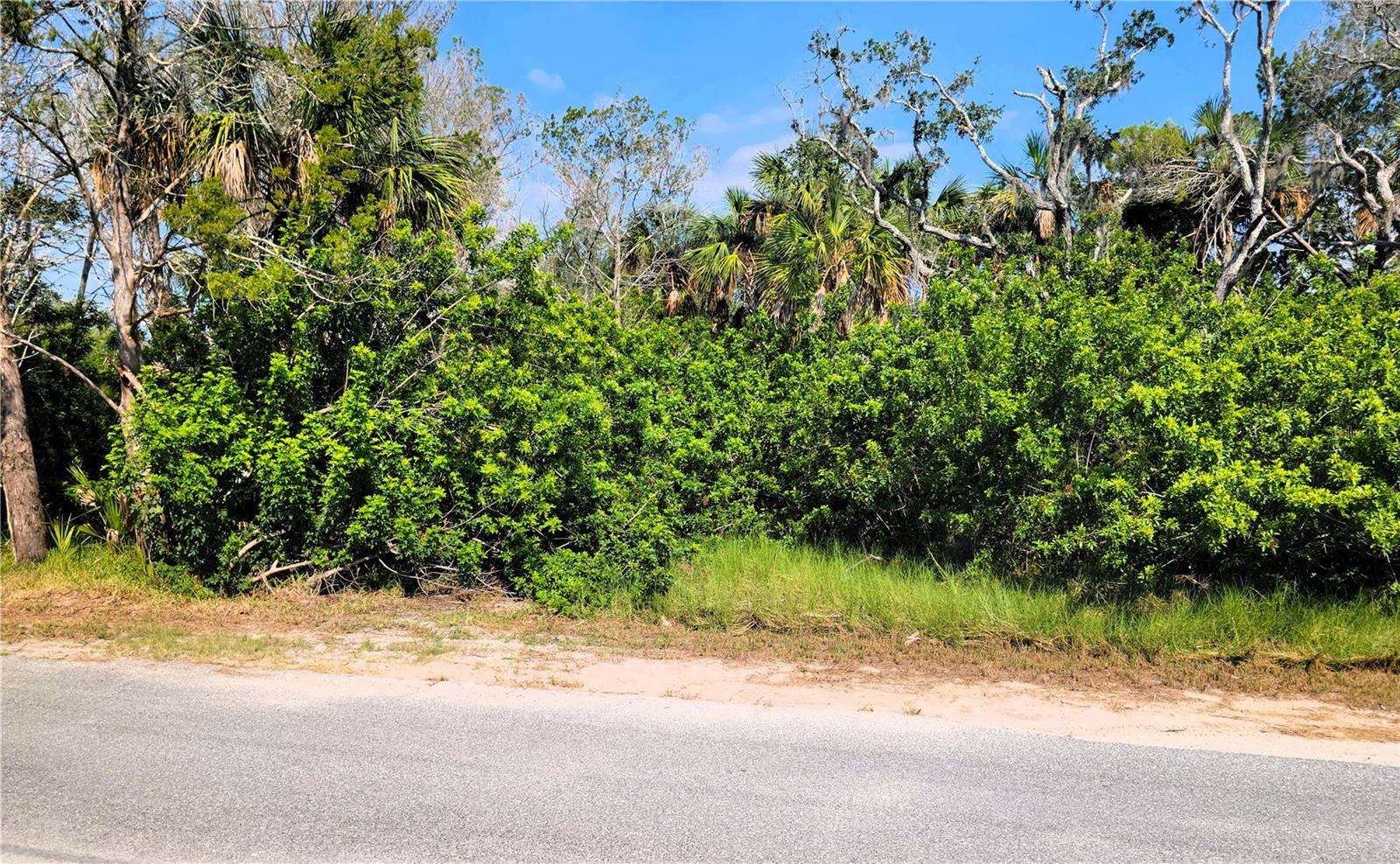 PEARSONS BLACK CREEK UNREC SUB - Land