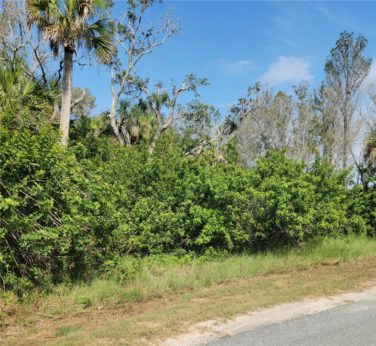 PEARSONS BLACK CREEK UNREC SUB - Land