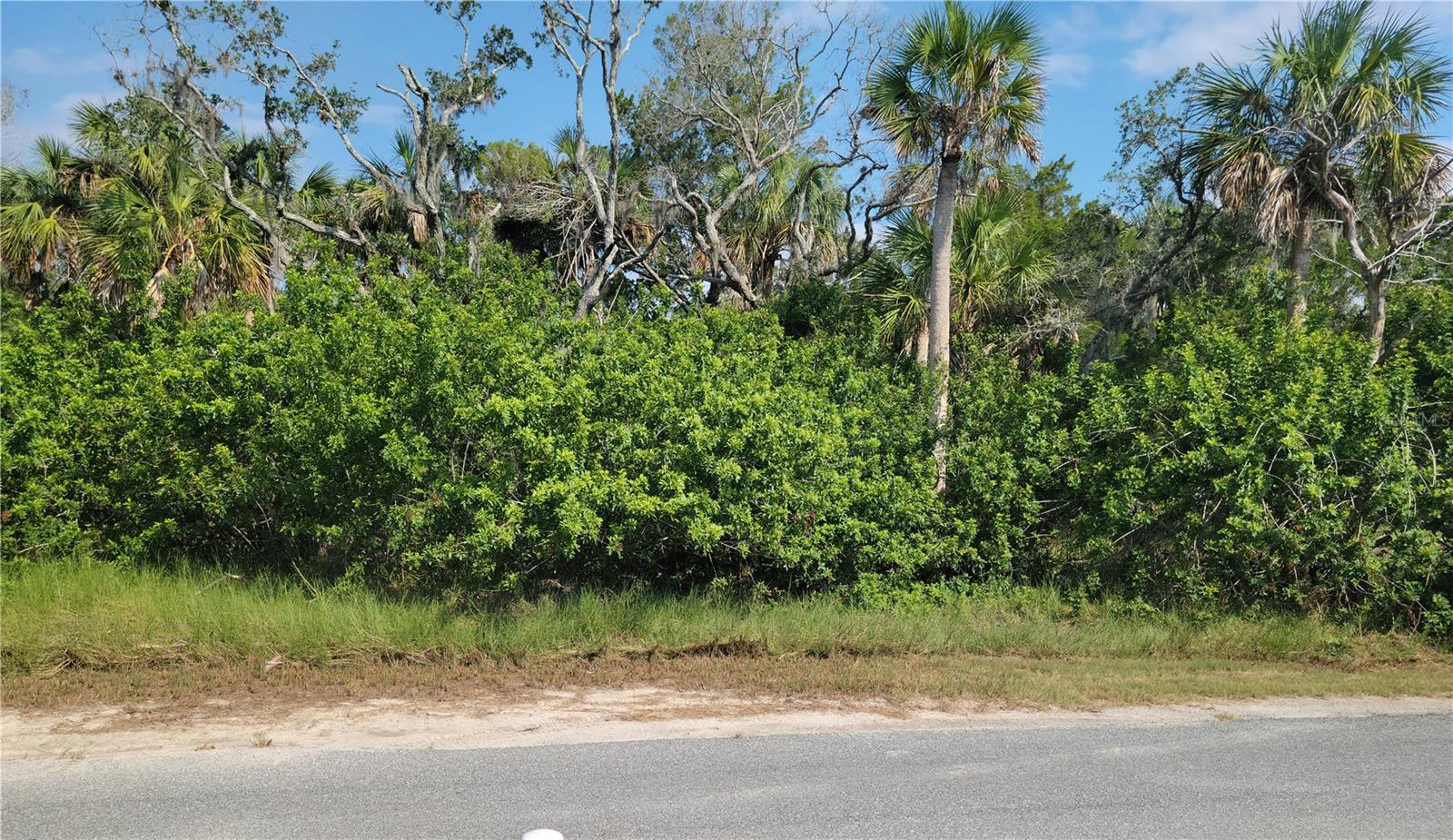 PEARSONS BLACK CREEK UNREC SUB - Land