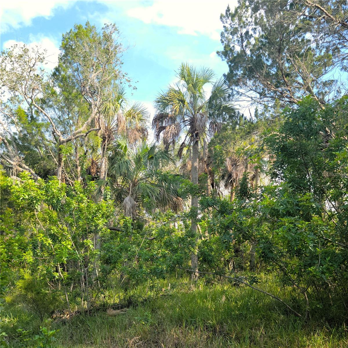 PEARSONS BLACK CREEK UNREC SUB - Land