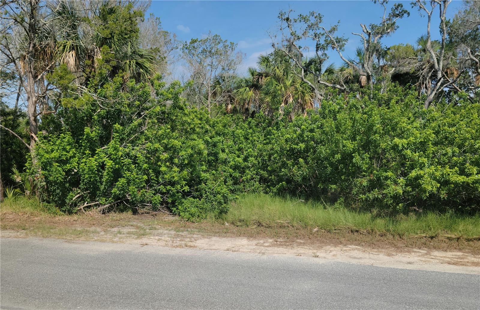 PEARSONS BLACK CREEK UNREC SUB - Land