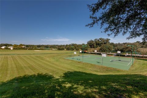 A home in MOUNT DORA