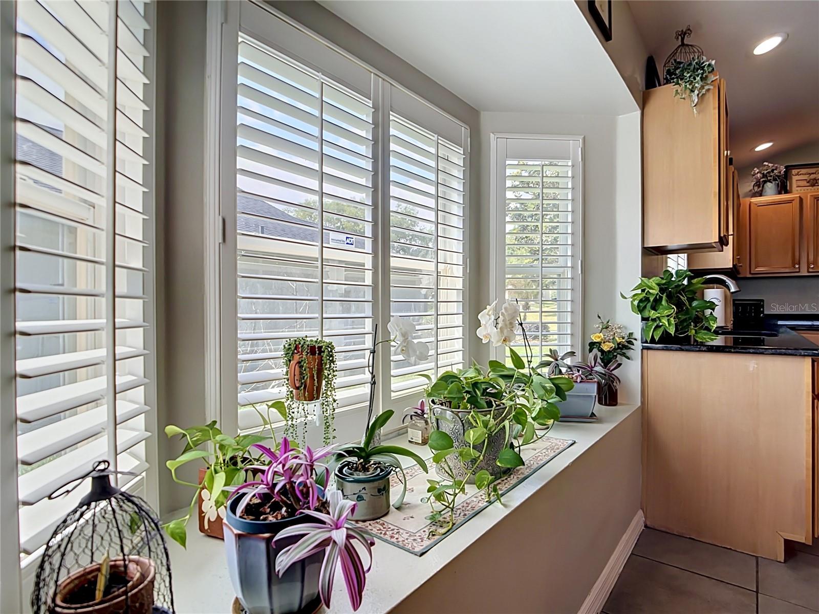 MAGNOLIA POINTE SUB - Residential