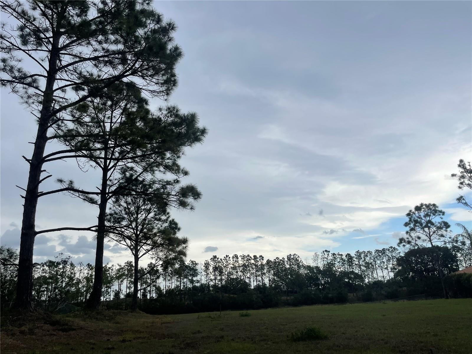 SWISS FAIRWAYS PH ONE SUB - Land