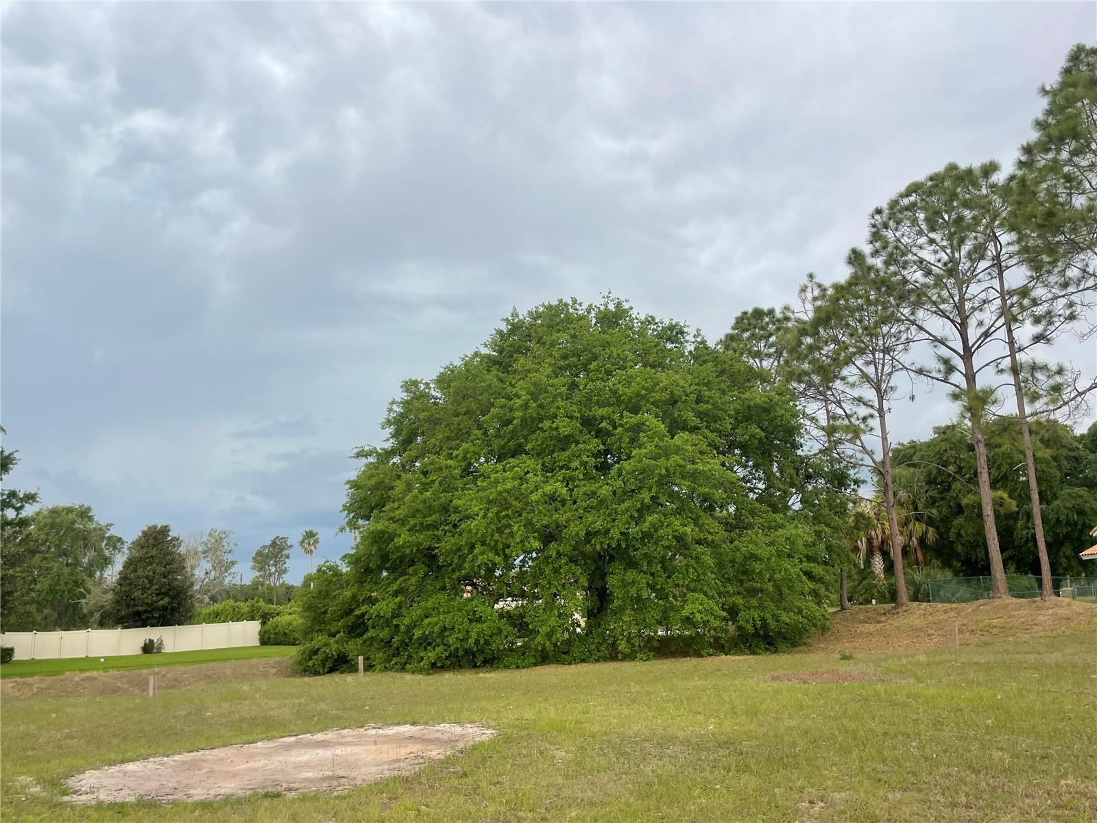 SWISS FAIRWAYS PH ONE SUB - Land