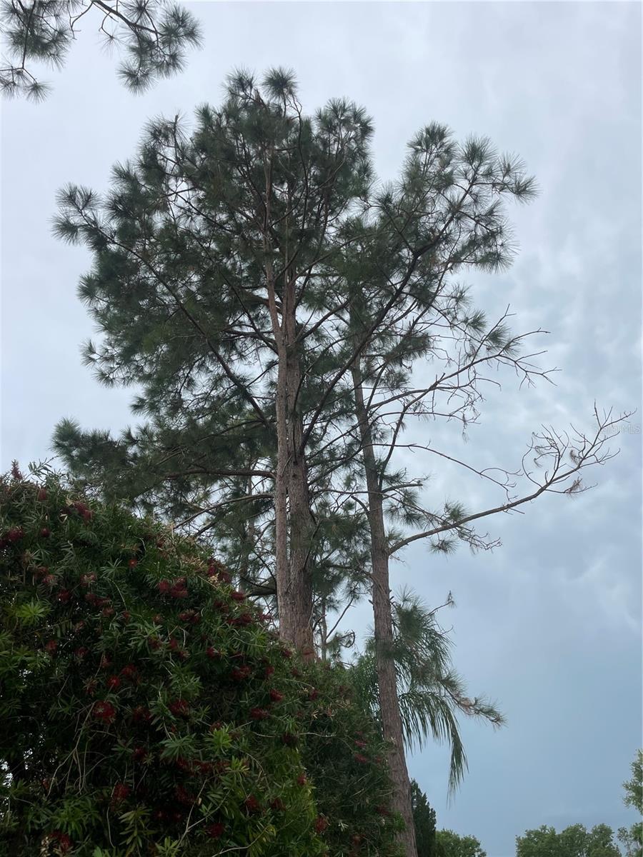 SWISS FAIRWAYS PH ONE SUB - Land