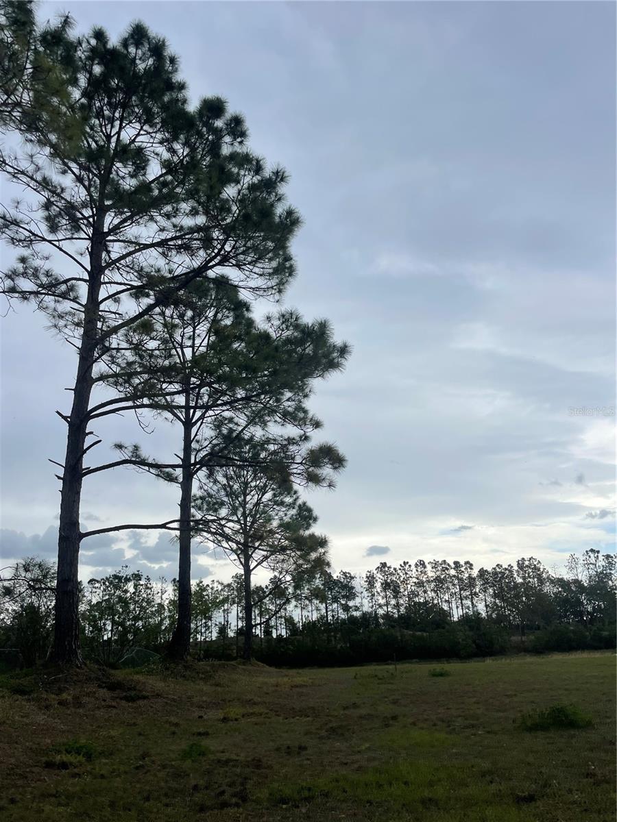 SWISS FAIRWAYS PH ONE SUB - Land