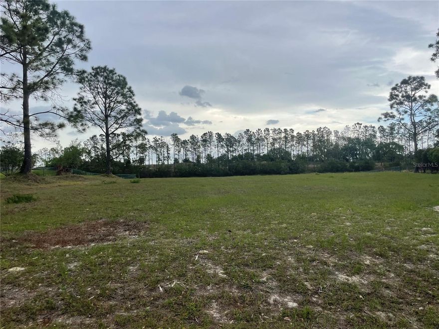 BUY, BUILD OR HOLD .65 ACRE OF VACANT LAND IN BEAUTIFUL CLERMONT, FLORIDA.   Fantastic WATER VIEW LOT overlooking Lake Denise, in Swiss Fairways Golf and Skiing Community.    Ready to Build, Cleared and Level Land.  No HOA fees.    Combine Water Views, Space, Country Feel and Tranquil Living, with the perfect proximity to restaurants, shopping and entertainment.   Clermont is an extremely sought after and highly desirable location.  This is YOUR opportunity to Develop Your Dream Home or Investment Property, in a Prime Location approximately 10 minutes from picturesque Downtown Clermont and Lake Minneola.   Easy access to Winter Garden, Lake Louisa State Park, Restaurant Row Dr Phillips, International Drive, Disney Springs, Walt Disney World, Universal Studios, Orlando International Airport, and the Gulf and Atlantic Coast Beaches.