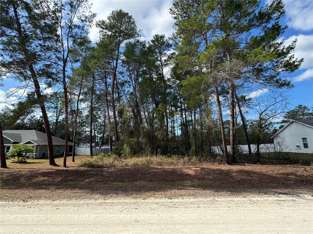 Photo of Filbert Rd, Weeki Wachee, FL 34614 (MLS # S5143194)