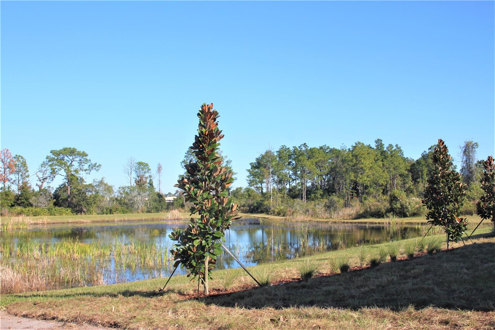 CONNERTON - Residential Lease