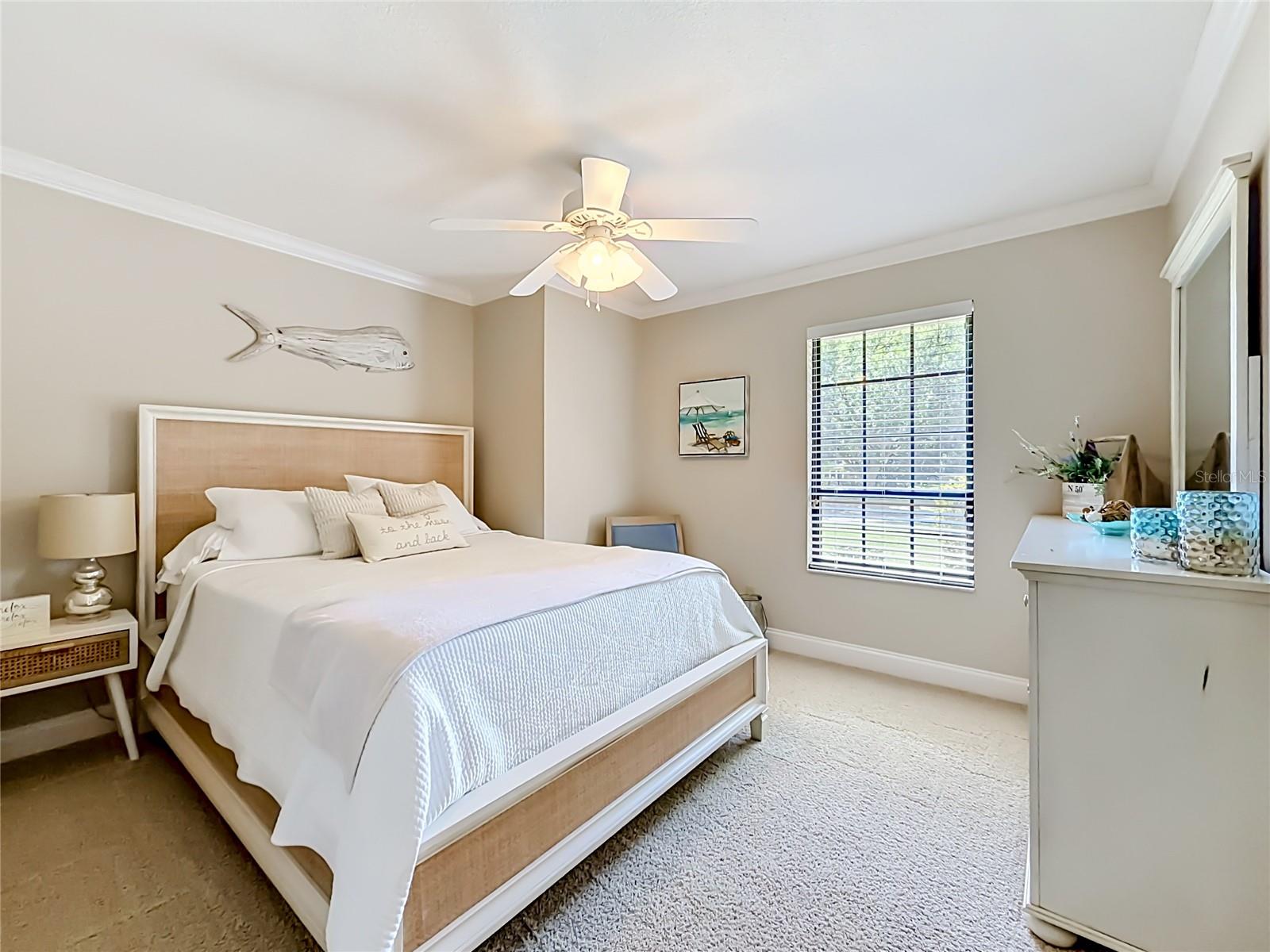 MEADOW RDG - Residential