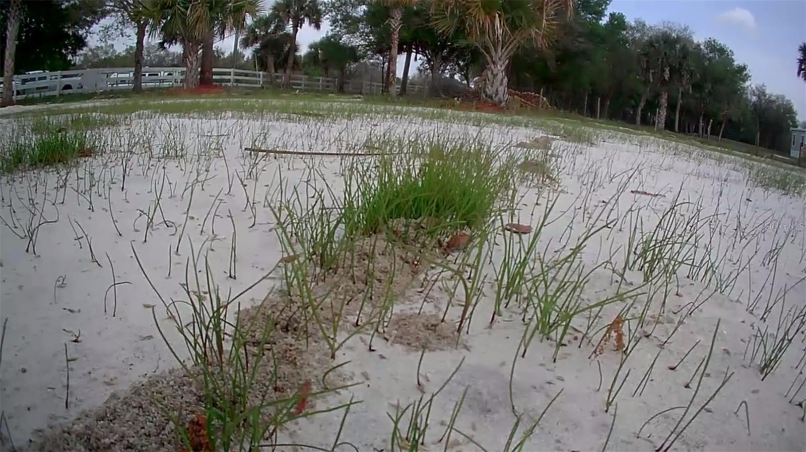 SOUTHERN COLONIZATION CO - Land