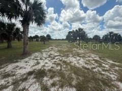 SOUTHERN COLONIZATION CO - Land