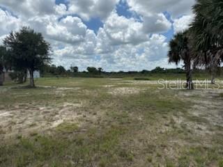 SOUTHERN COLONIZATION CO - Land