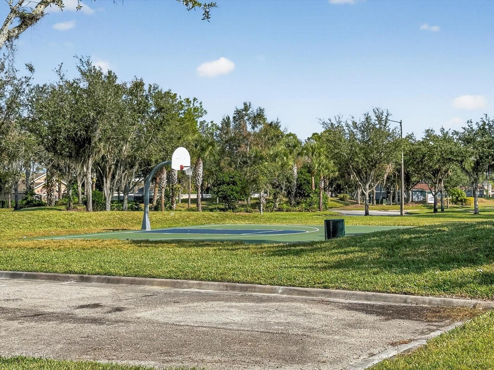 SHINGLE CREEK RESERVE AT THE OAKS PH 6 - Residential