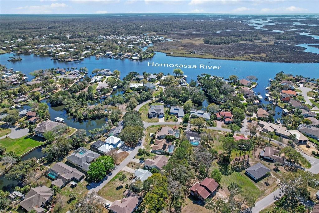 Photo of 11752 W Valley Spring Lane, Homosassa, FL 34448 (MLS # A4668243)