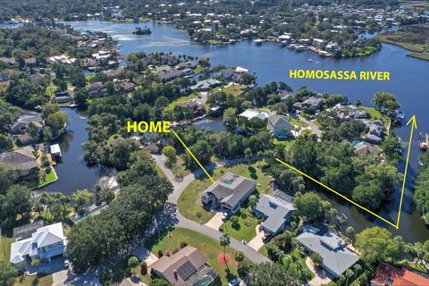 Tiny photo for 11752 W Valley Spring Lane, Homosassa, FL 34448 (MLS # A4668243)