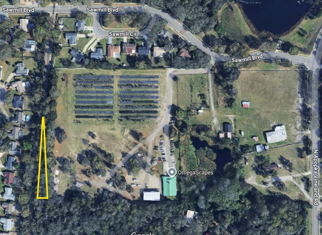 Discover the potential of this .25-acre vacant, unimproved land parcel. Positioned north of Hackney Prairie Road, south of Saw Mill Blvd, and west of N Apopka Vineland Rd, this property offers an excellent opportunity for investment or future development. This parcel is owned via tax deed, with the 4-year time period approaching on April 29, 2025. Buyers are encouraged to perform all necessary due diligence regarding access, zoning, building allowances and potential uses for the property. Don’t miss this chance to secure a piece of land in this great location!