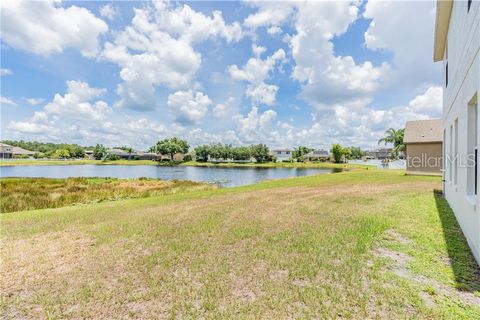 A home in LAND O LAKES