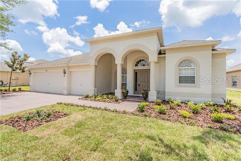 A home in LAND O LAKES