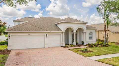 A home in LAND O LAKES