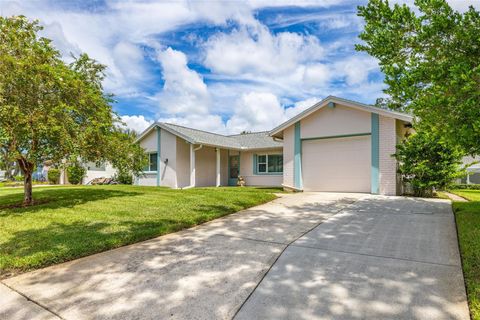 13004 SERPENTINE DRIVE HUDSON FL 34667