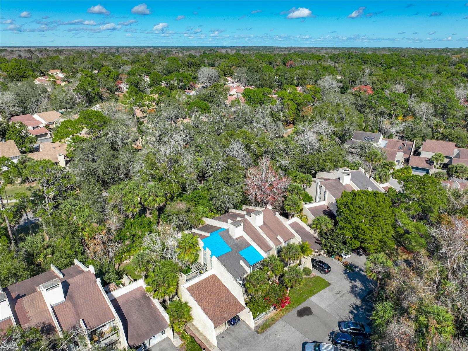 WEKIVA VILLAS CONDO - Residential