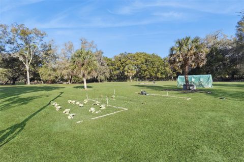 Tiny photo for 43411 State Road 19, Altoona, FL 32702 (MLS # G5108665)