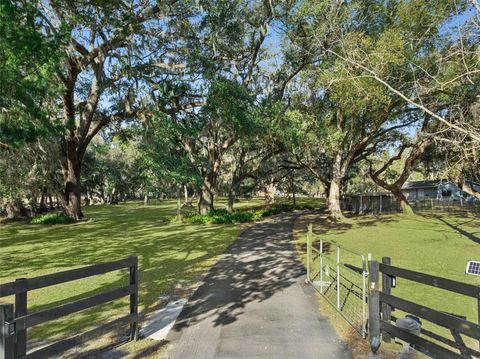 Tiny photo for 43411 State Road 19, Altoona, FL 32702 (MLS # G5108665)