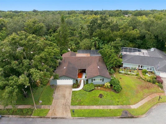 1297 PEACH TREE DR, DUNEDIN, FL 34698 - Image b7b7a75f7b4b544fdc8dc33c3295d667/2632930191