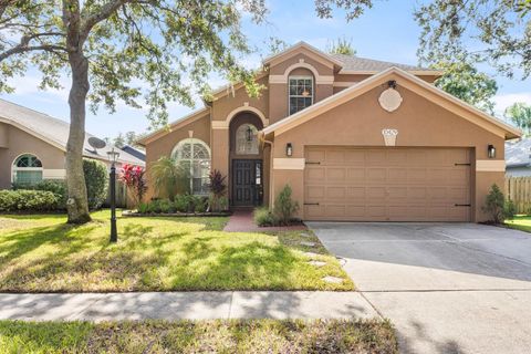 10429 SPRINGROSE DRIVE TAMPA FL 33626